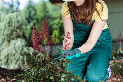 Supervisor inspecting a garden during a lawn care quality check