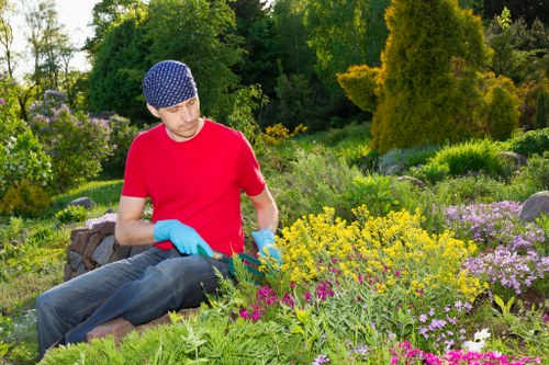 Maintenance check being carried out on lawn mower