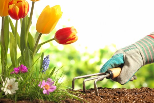 A close-up view of a gardener's hand wearing a work glove, holding a small garden rake while tending to a flower bed in a landscaped outdoor space. The flower bed contains a variety of colorful flowers including red and yellow tulips, purple and pink blooms, and white flowers, all planted in rich, dark soil with some small weeds. In the background, there is lush greenery with a hedge or bushes that create a natural boundary for the garden. The scene suggests outdoor gardening activity on a sunny day, with natural light illuminating the vibrant colors of the flowers and the textures of the soil and plant foliage. This setting is typical of a well-maintained garden in Acton, suitable for gardening and landscaping services such as lawn maintenance and flower bed care provided by Lawn Mowing Acton, supporting local outdoor care needs.