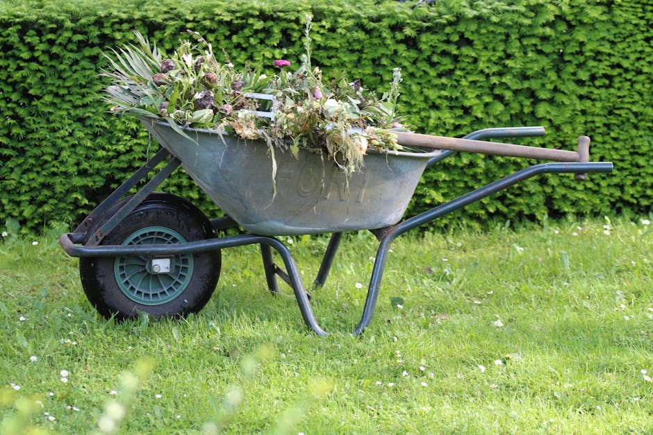 A dense garden scene depicted in the 'Before and after garden clearance by gardeners in West Acton' page shows a view through tall, leafless shrubbery and climbing plants, with a clear blue sky overhe