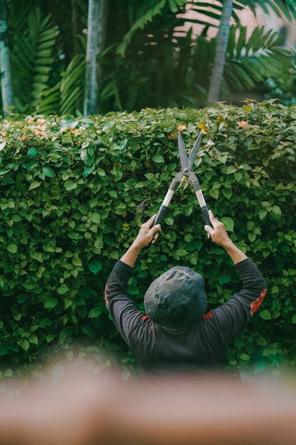 Close-up view of a gardener in orange trousers and dark boots using a rake or garden tool to clear overgrown grass, weeds, and debris from a garden bed on a sunny day. The soil beneath is moist and da